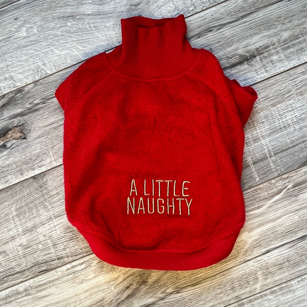 Aerie Cozy Dog Sweater